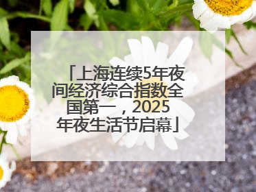 上海连续5年夜间经济综合指数全国第一，2025年夜生活节启幕