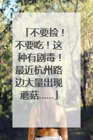不要捡！不要吃！这种有剧毒！最近杭州路边大量出现蘑菇……