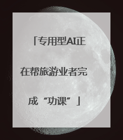 专用型AI正在帮旅游业者完成“功课”
