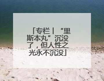 专栏丨“里斯本丸”沉没了，但人性之光永不沉没