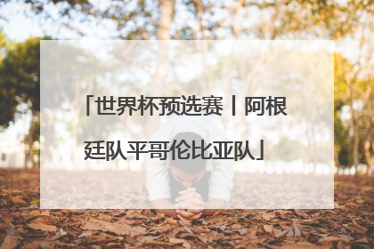 世界杯预选赛丨阿根廷队平哥伦比亚队