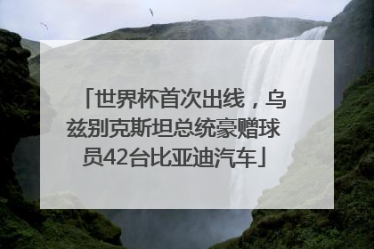 世界杯首次出线，乌兹别克斯坦总统豪赠球员42台比亚迪汽车