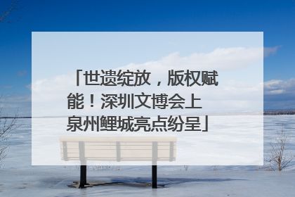 世遗绽放，版权赋能！深圳文博会上 泉州鲤城亮点纷呈