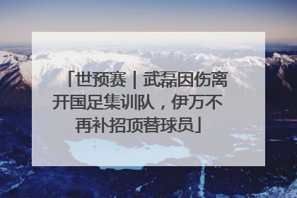 世预赛｜武磊因伤离开国足集训队，伊万不再补招顶替球员