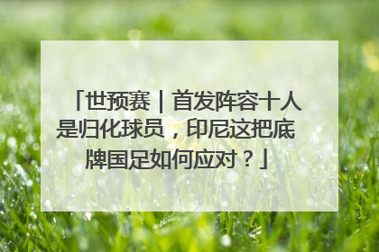 世预赛｜首发阵容十人是归化球员，印尼这把底牌国足如何应对？