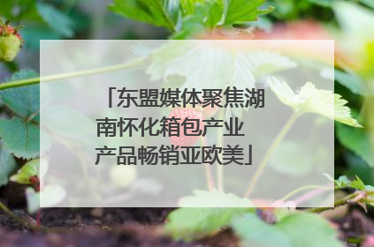 东盟媒体聚焦湖南怀化箱包产业 产品畅销亚欧美