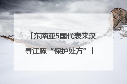 东南亚5国代表来汉寻江豚“保护处方”