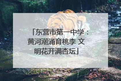 东营市第一中学：黄河潮涌育桃李 文明花开满杏坛