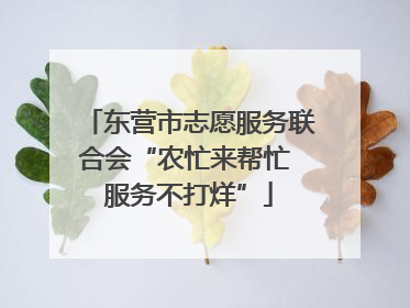 东营市志愿服务联合会“农忙来帮忙 服务不打烊”
