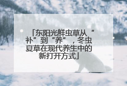 东阳光鲜虫草从“补”到“养”，冬虫夏草在现代养生中的新打开方式