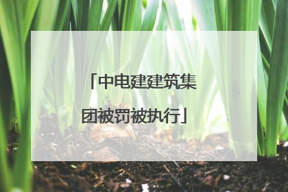 中电建建筑集团被罚被执行