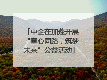 中企在加蓬开展“童心同路，筑梦未来”公益活动