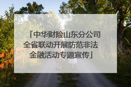 中华财险山东分公司全省联动开展防范非法金融活动专题宣传