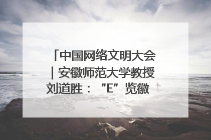 中国网络文明大会｜安徽师范大学教授刘道胜：“E”览徽风，构筑中华民族共有精神家园