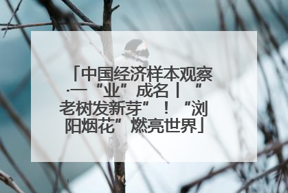 中国经济样本观察·一“业”成名丨“老树发新芽”！“浏阳烟花”燃亮世界