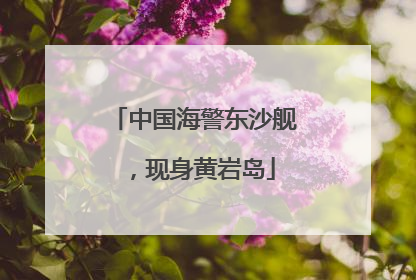 中国海警东沙舰，现身黄岩岛