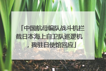 中国航母编队战斗机拦截日本海上自卫队巡逻机，我驻日使馆回应