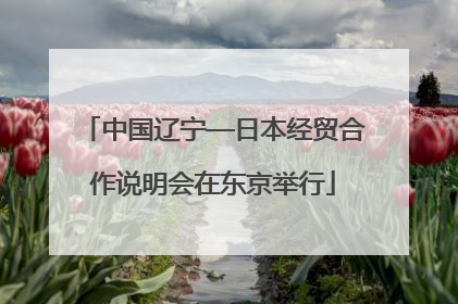 中国辽宁—日本经贸合作说明会在东京举行