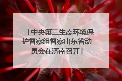 中央第三生态环境保护督察组督察山东省动员会在济南召开