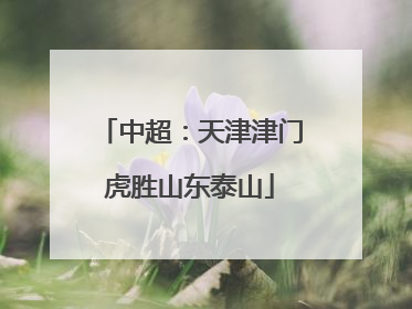 中超：天津津门虎胜山东泰山