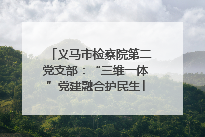 义马市检察院第二党支部：“三维一体”党建融合护民生