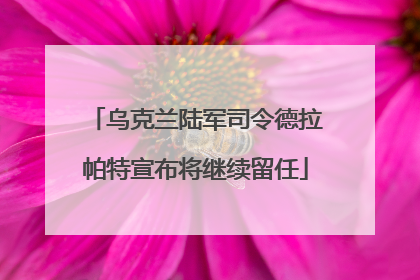 乌克兰陆军司令德拉帕特宣布将继续留任