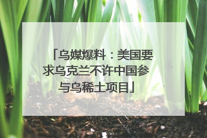 乌媒爆料：美国要求乌克兰不许中国参与乌稀土项目