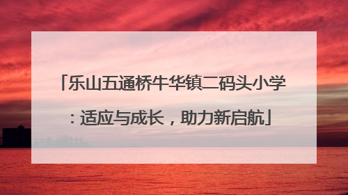 乐山五通桥牛华镇二码头小学：适应与成长，助力新启航