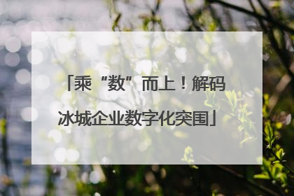 乘“数”而上！解码冰城企业数字化突围