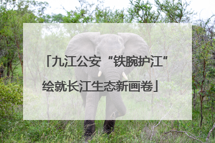 九江公安“铁腕护江”绘就长江生态新画卷