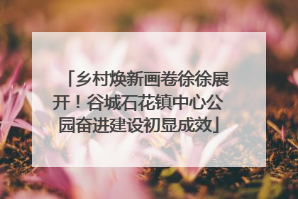乡村焕新画卷徐徐展开！谷城石花镇中心公园奋进建设初显成效