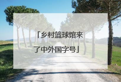 乡村篮球馆来了中外国字号
