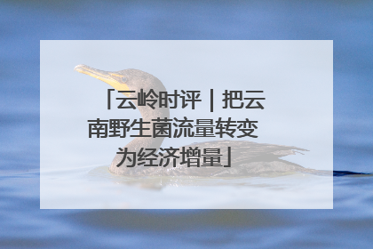 云岭时评｜把云南野生菌流量转变为经济增量