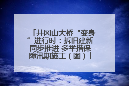 井冈山大桥“变身”进行时：拆旧建新同步推进 多举措保障汛期施工（图）