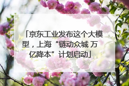 京东工业发布这个大模型，上海“链动众城 万亿降本”计划启动