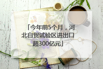 今年前5个月，河北自贸试验区进出口超300亿元
