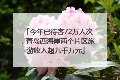 今年已待客72万人次，青岛西海岸两个片区旅游收入超九千万元