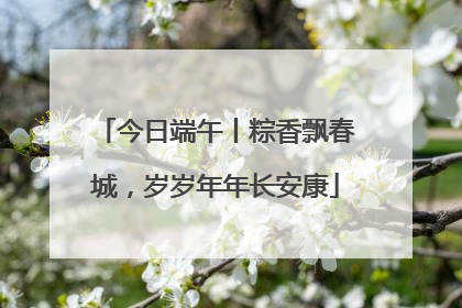 今日端午丨粽香飘春城，岁岁年年长安康