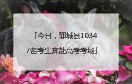 今日，郓城县10347名考生奔赴高考考场
