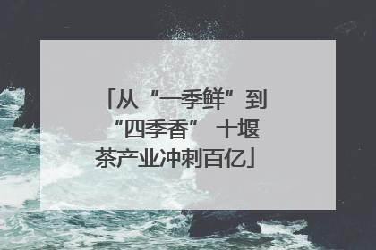从“一季鲜”到“四季香” 十堰茶产业冲刺百亿