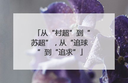 从“村超”到“苏超”，从“追球”到“追求”