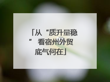 从“质升量稳” 看宿州外贸底气何在