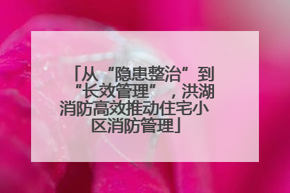 从“隐患整治”到“长效管理”，洪湖消防高效推动住宅小区消防管理