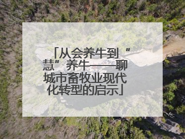 从会养牛到“慧”养牛——聊城市畜牧业现代化转型的启示