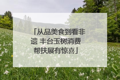 从品美食到看非遗 丰台玉树消费帮扶展有惊喜