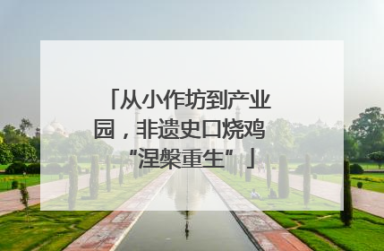 从小作坊到产业园，非遗史口烧鸡“涅槃重生”