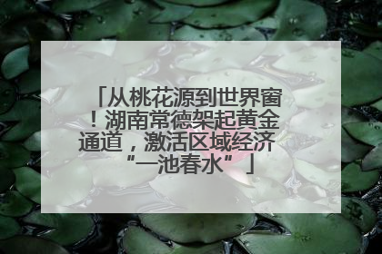 从桃花源到世界窗！湖南常德架起黄金通道，激活区域经济“一池春水”