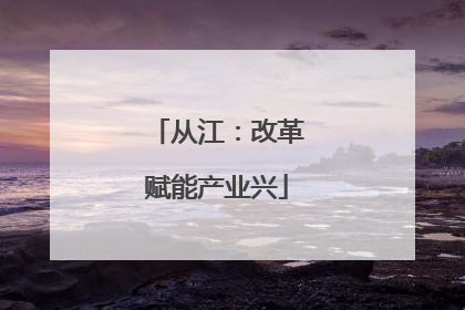 从江：改革赋能产业兴