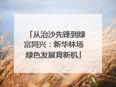 从治沙先锋到绿富同兴：新华林场绿色发展育新机