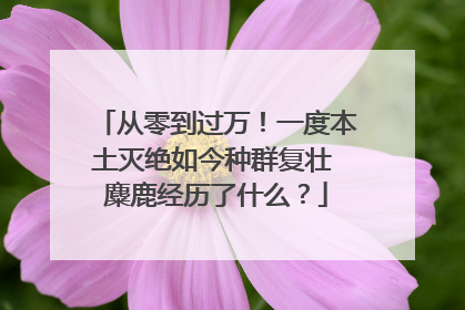 从零到过万！一度本土灭绝如今种群复壮 麋鹿经历了什么？